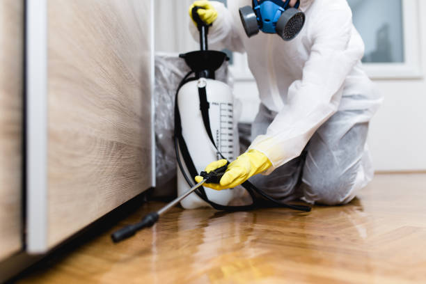 Best Pest Prevention Services  in Atlanta, GA