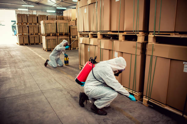 Best Mosquito Control Services  in Atlanta, GA
