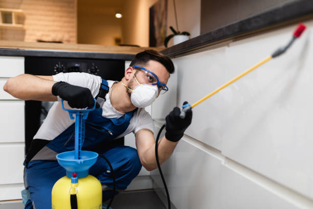 Best Best Pest Control Companies  in Atlanta, GA