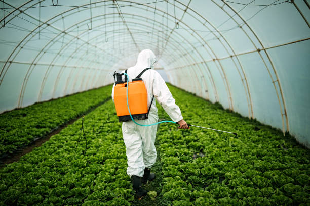 Best Affordable Pest Control Services  in Atlanta, GA