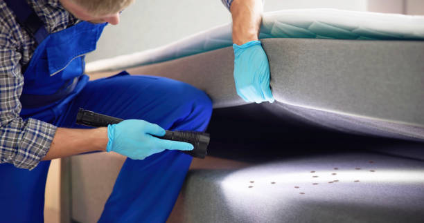 Best Best Pest Control Companies  in Atlanta, GA