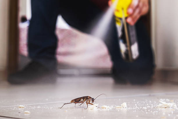 Best Commercial Pest Control Services  in Atlanta, GA