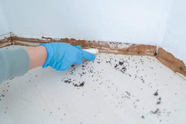 Best Residential Pest Control  in Atlanta, GA