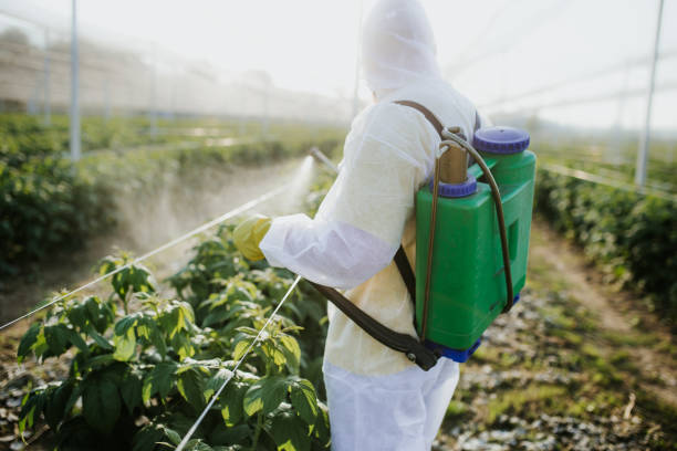 Reliable Atlanta, GA Pest Control Solutions